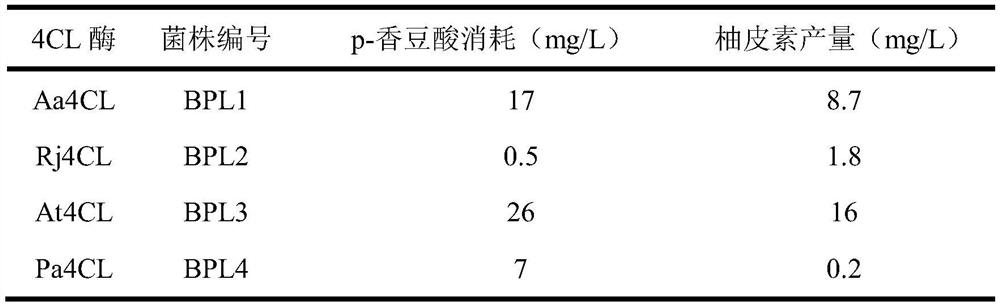 Application of a new p-coumaroyl-coa ligase in the biosynthesis of phloretin