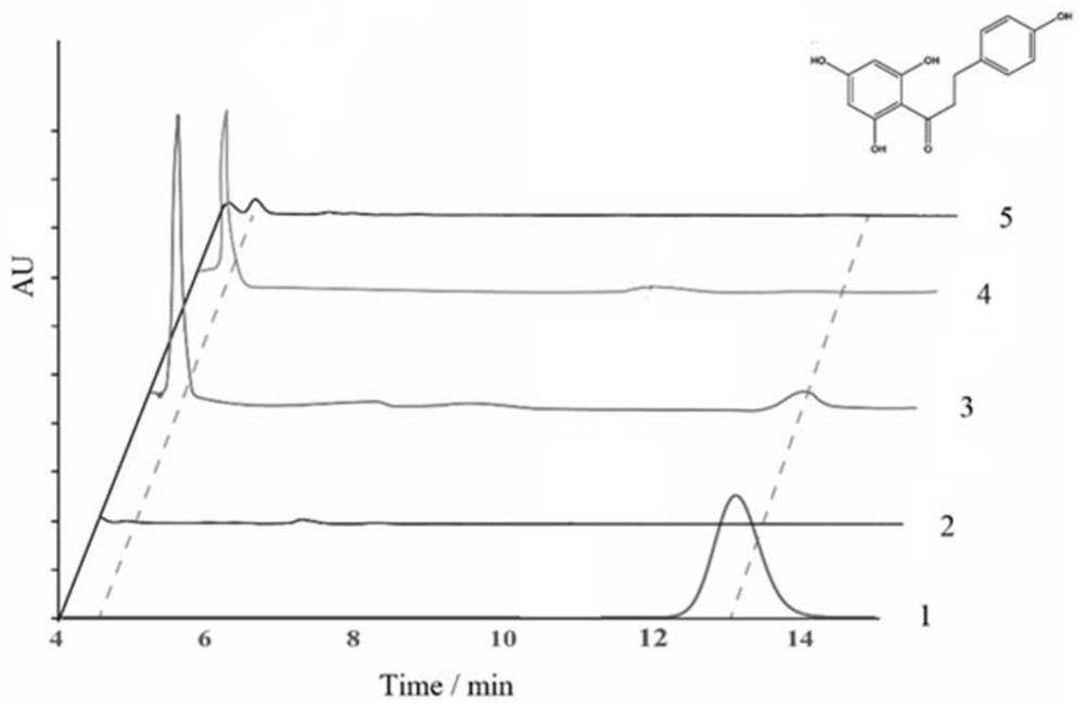 Application of a new p-coumaroyl-coa ligase in the biosynthesis of phloretin