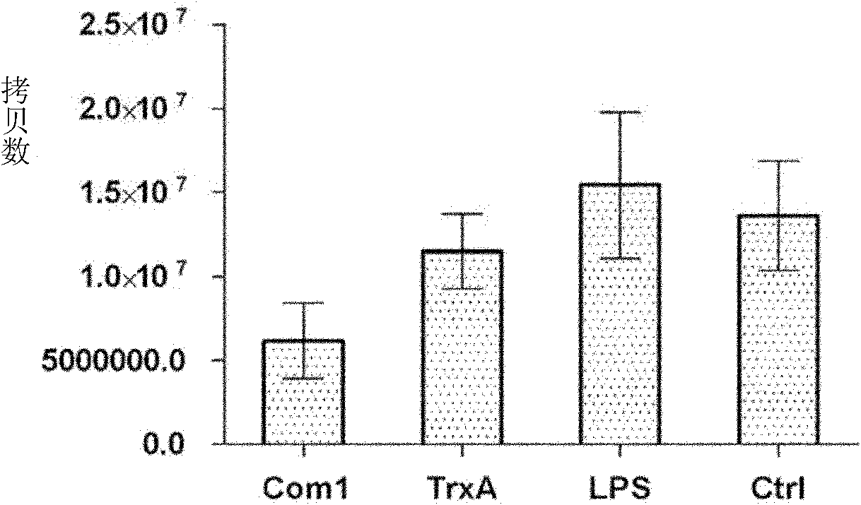 Application of protein Com1 in immunoprotection of coxiella burnetii