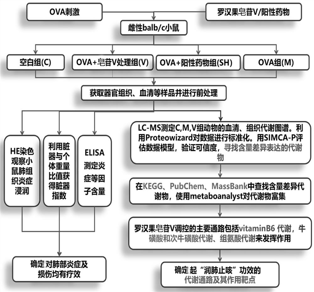 Application of mogroside V and biomarker of mogroside V acting on lung inflammation