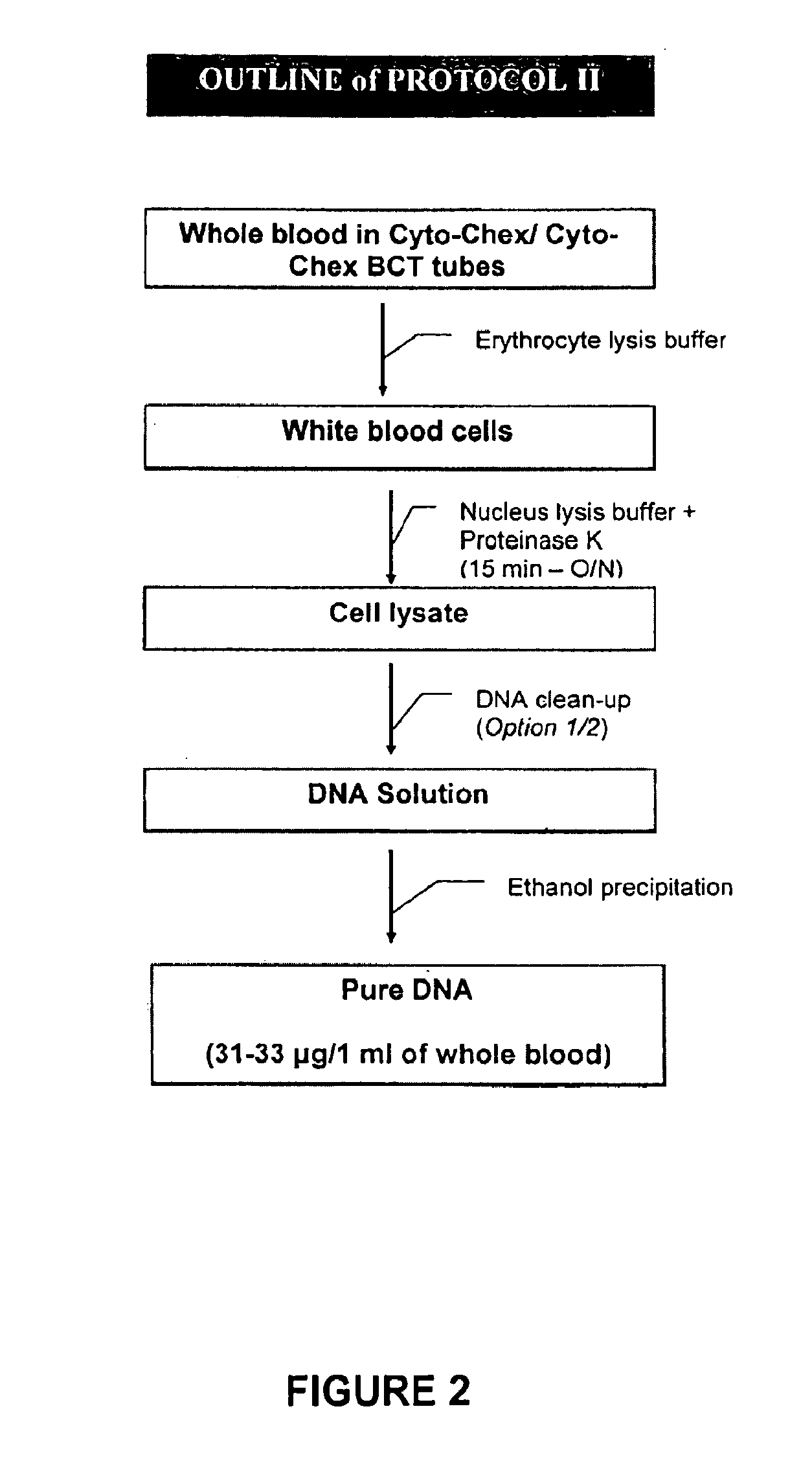 Nucleic acid isolation in preserved whole blood