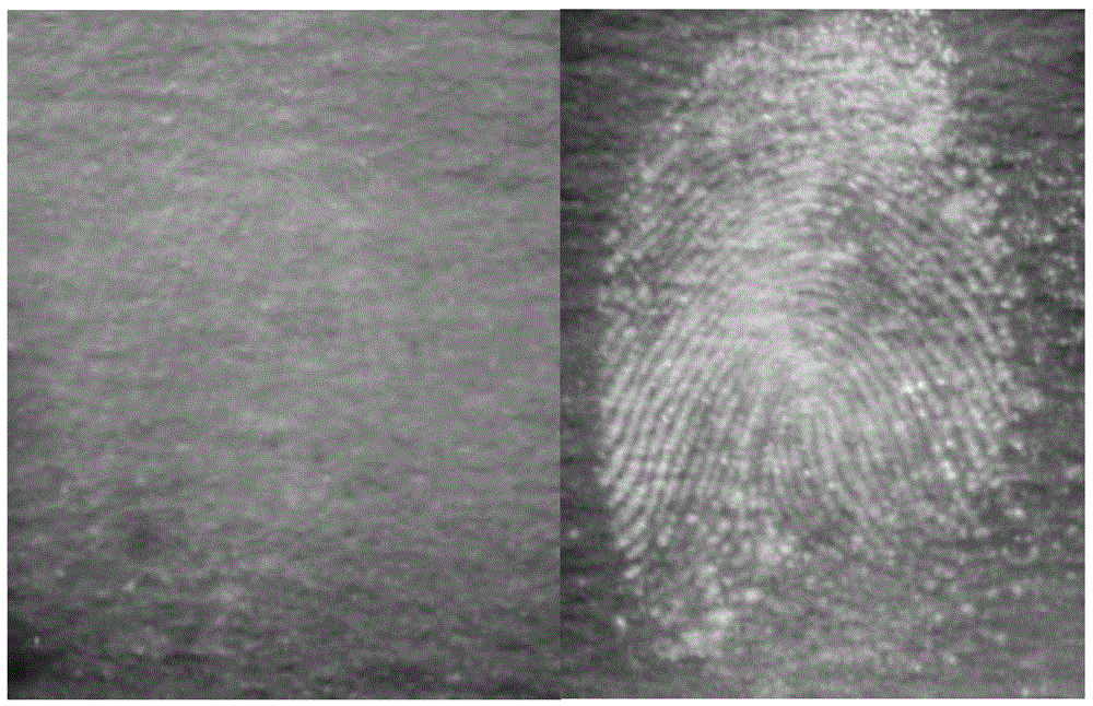 Fluorescence Quenching System Applied to Latent Fingerprint Visualization Method
