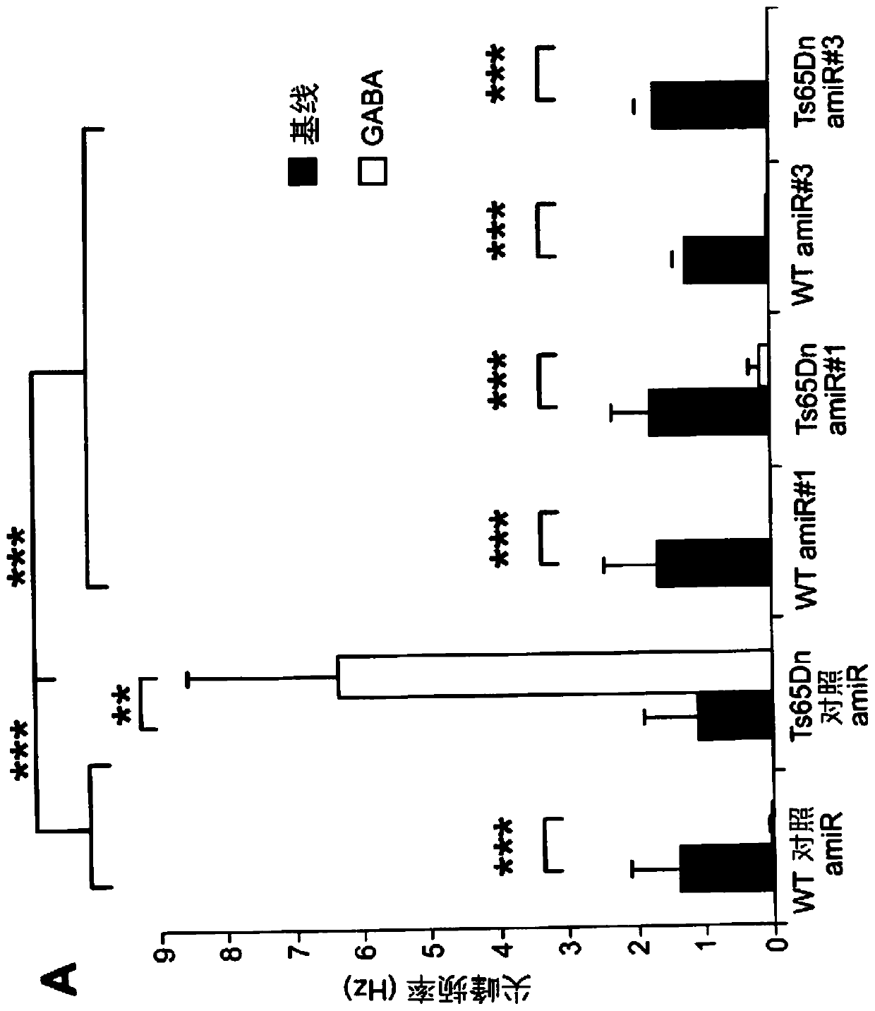 A vector and a pharmaceutical composition for reducing the expression of nkcc1 in a subject in need thereof, as well as a related therapeutic treatment method
