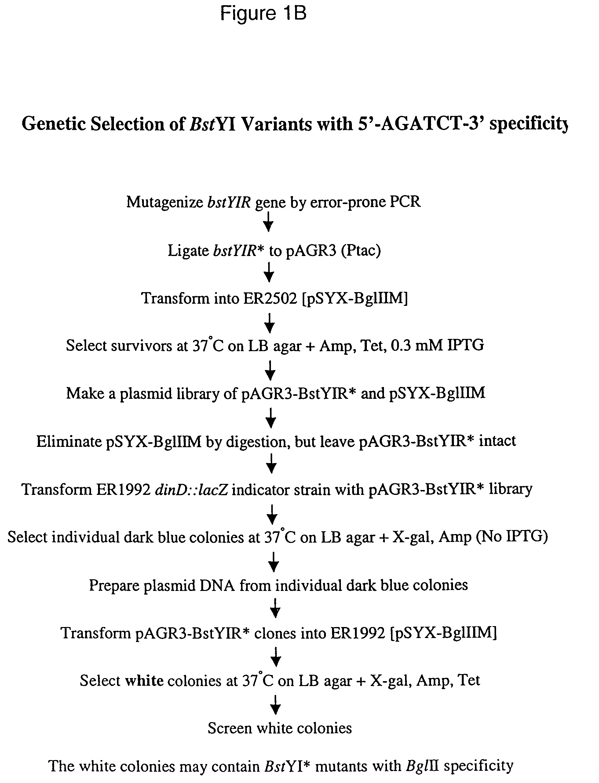 Alteration of restriction endonuclease specificity by genetic selection