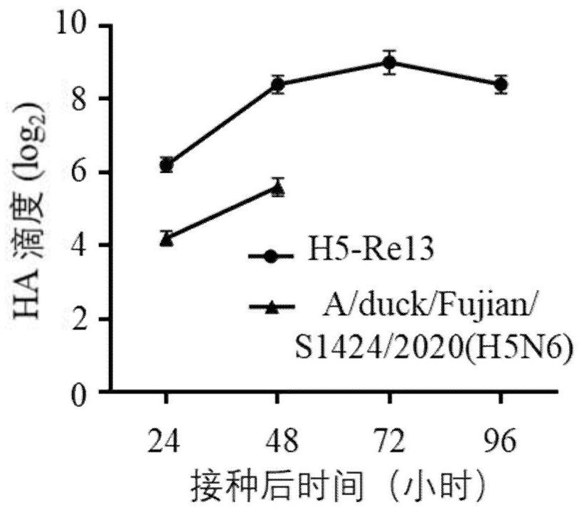 Artificially recombined h5n6 influenza virus and its preparation method and application