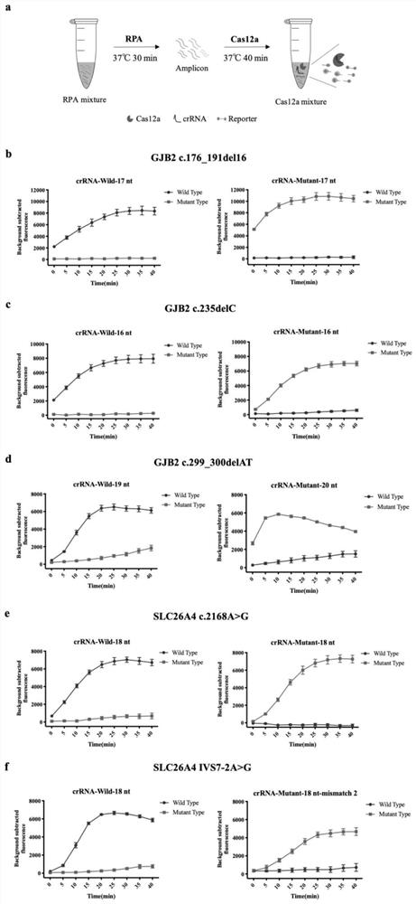 crRNA combination for multiple detection of hereditary hearing loss, kit and method theref