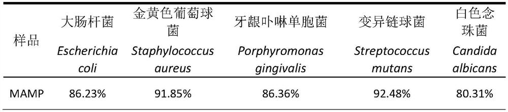 Antibacterial peptide composition and application thereof