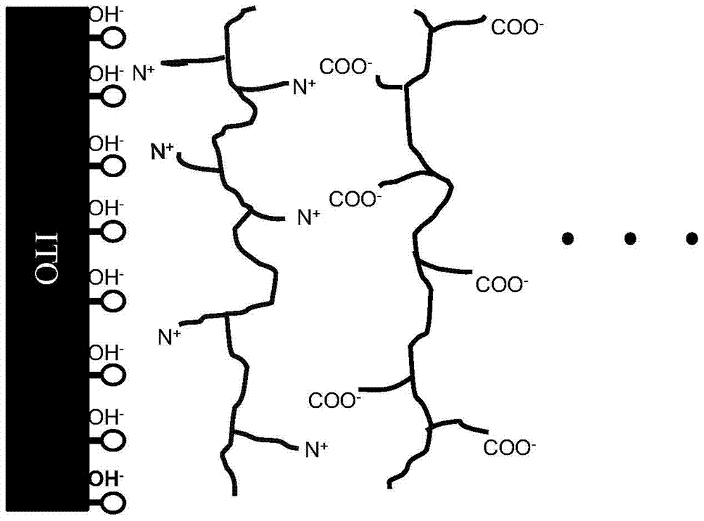 Preparation method and application of cathode interface layer of organic optoelectronic device based on conjugated polyelectrolyte