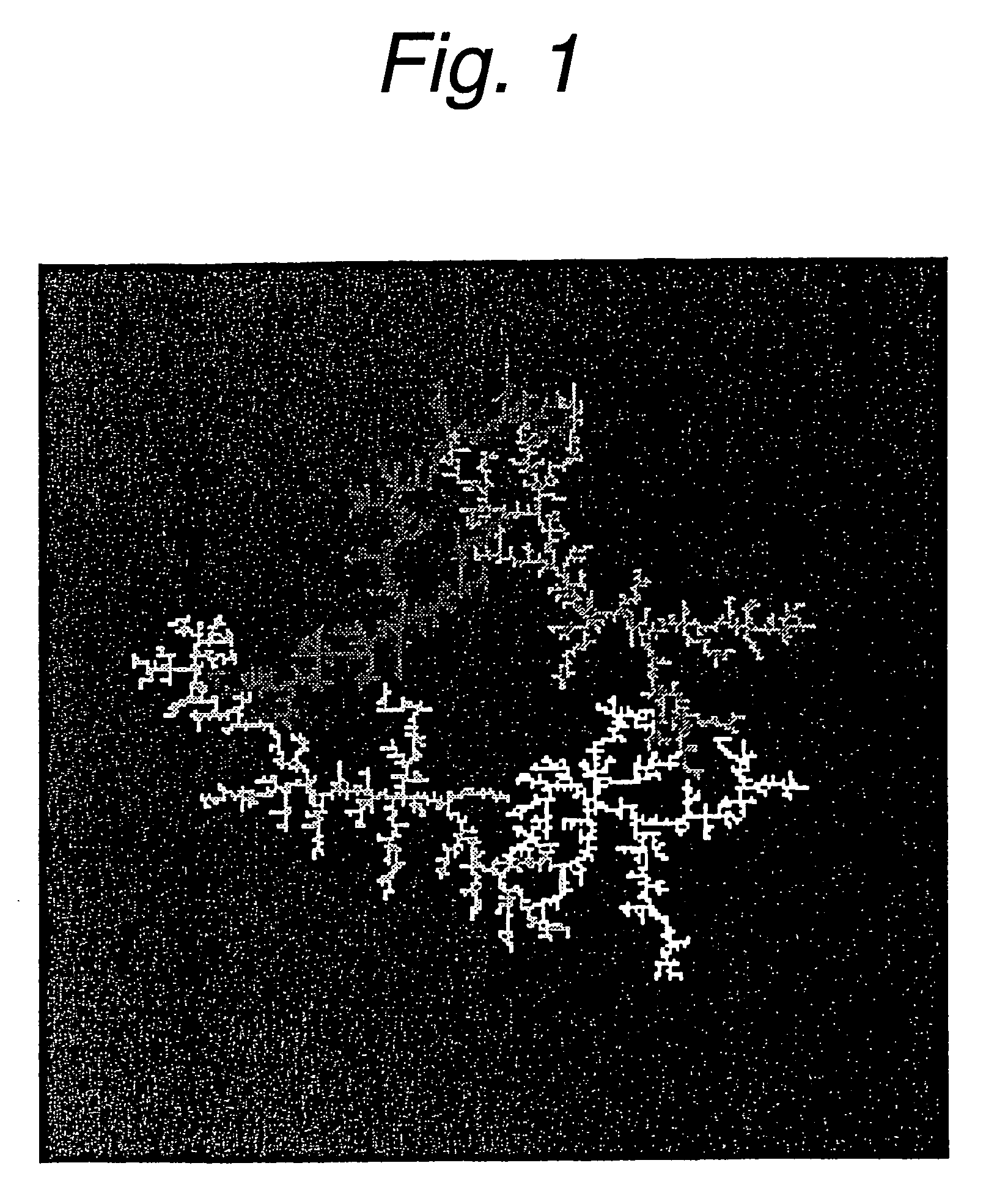 Method of fabricating a fractal structure for constructing complex neural networks