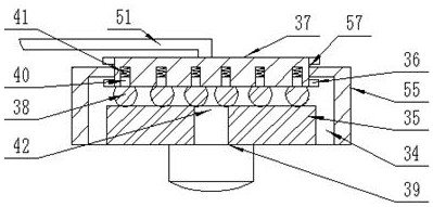 A color ultrasonic diagnostic machine and diagnostic method for patients with novel coronavirus