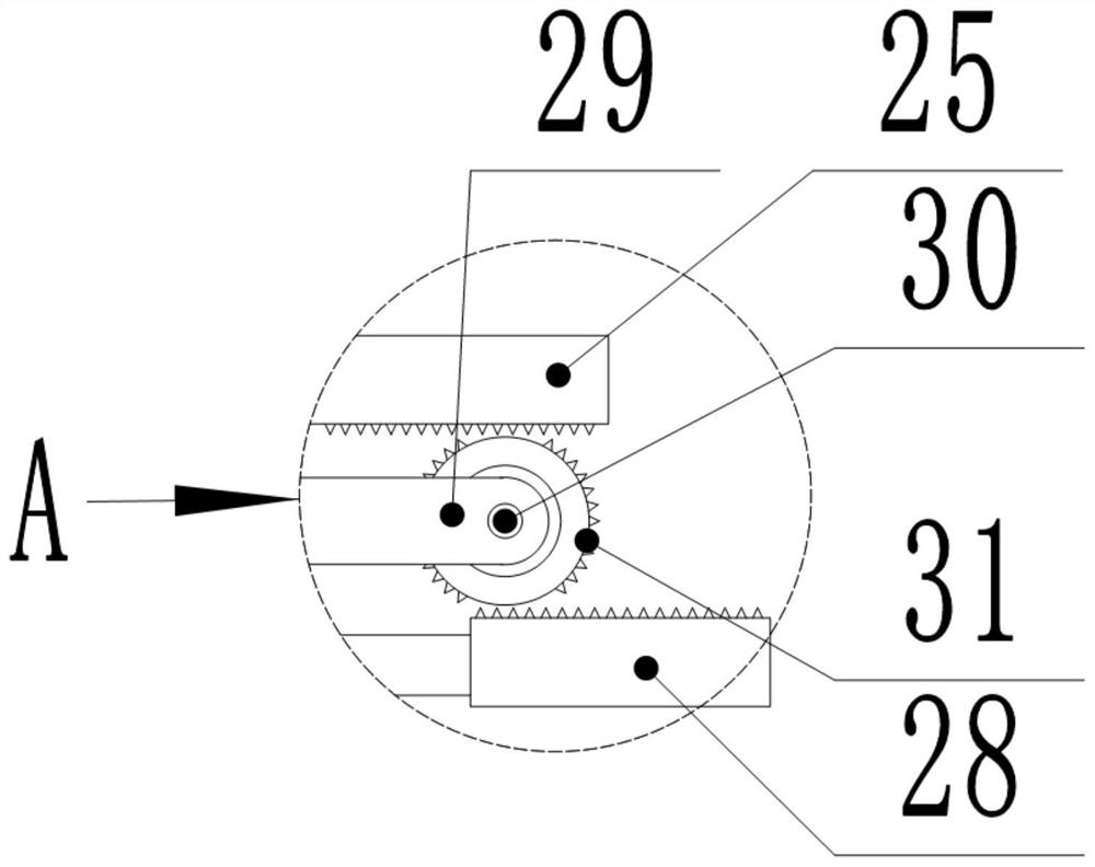 A gear-driven dendrobium candidum microcrystalline powder preparation and crushing device