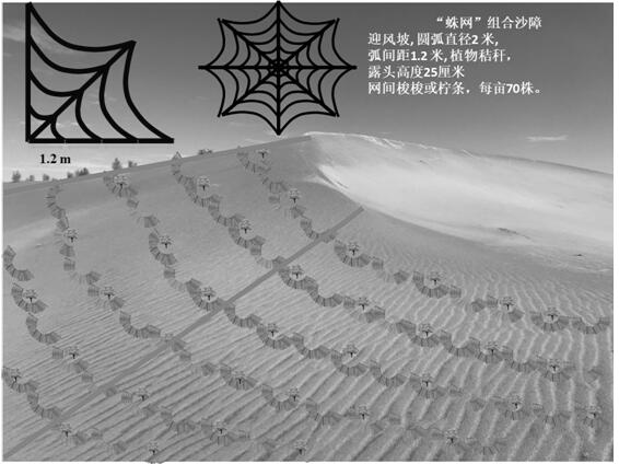 A "spider web"-shaped combined sand barrier with the functions of preventing sand collection and sand burial