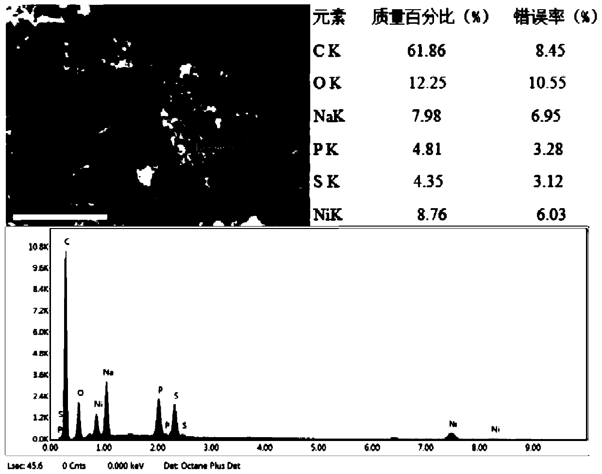 A kind of plating solution and method for electroless Ni-P plating on the surface of carbon nanotubes