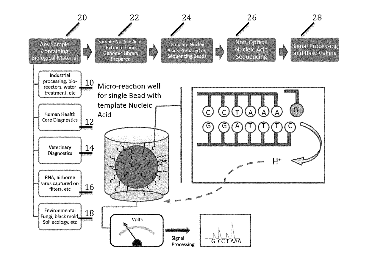 Universal or broad range assays and multi-tag sample specific diagnostic process using non-optical sequencing