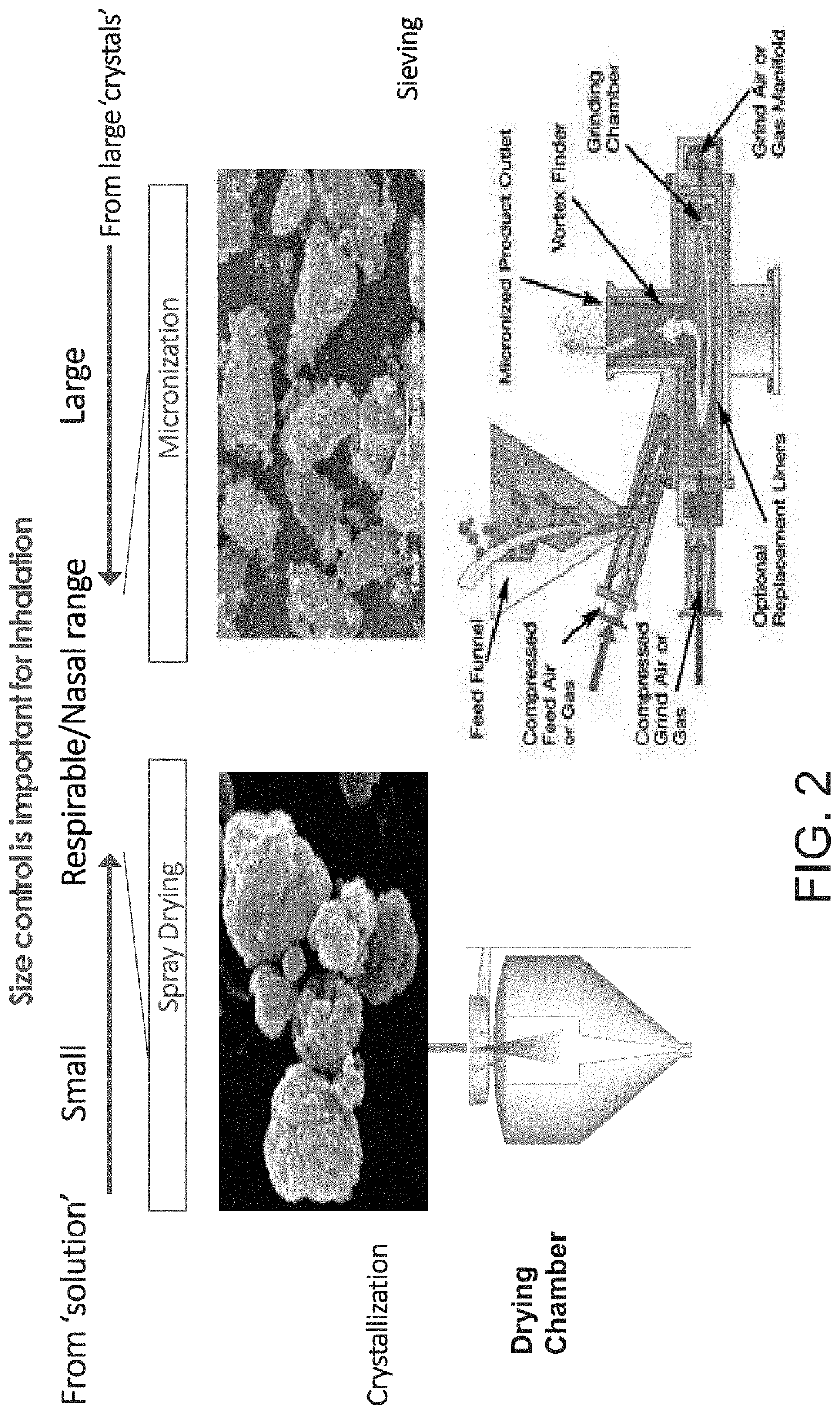 Method for prevention and treatment of a viral-mediated infectious disease