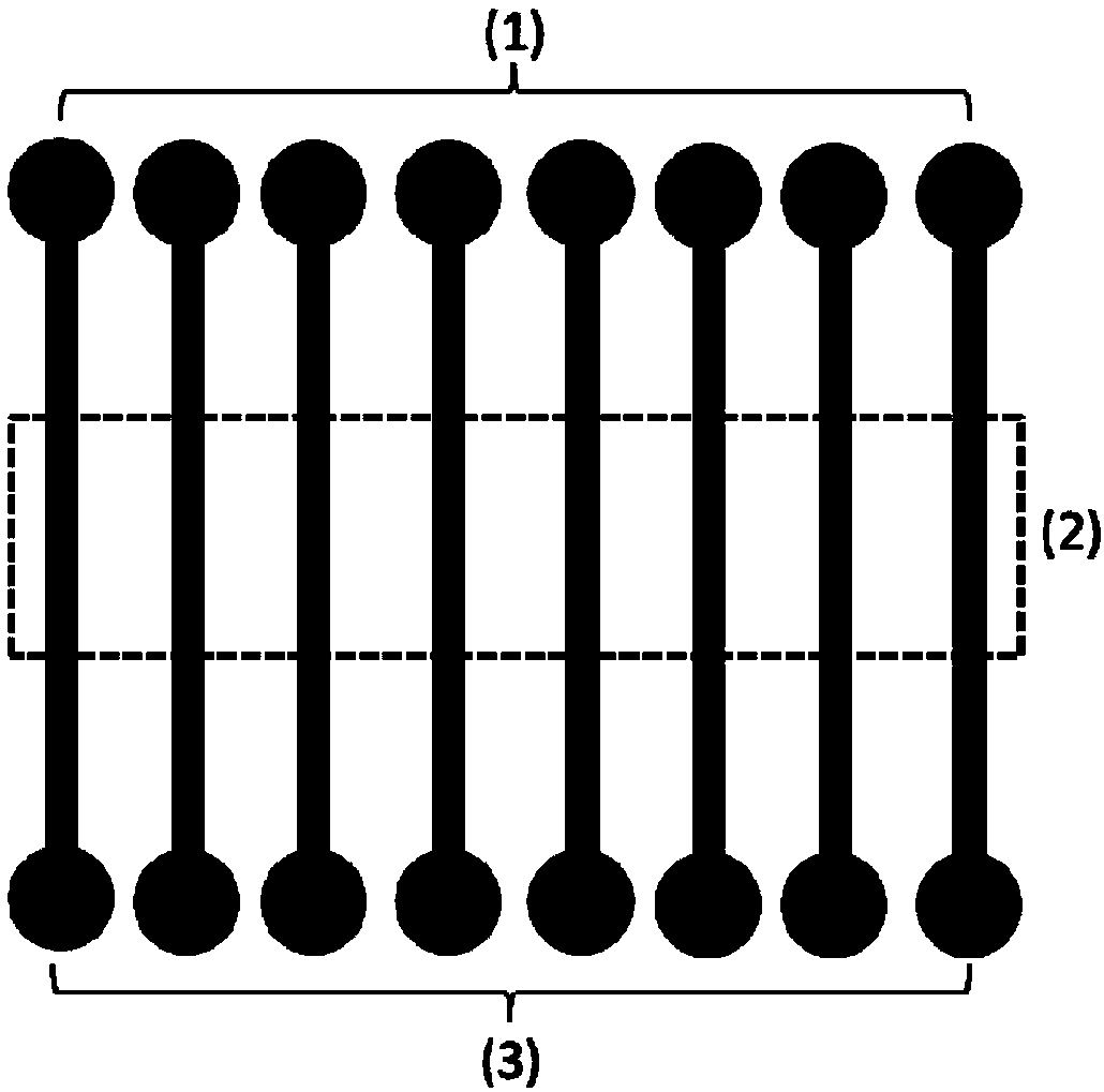 Establishment method and applications of microfluidic-chip-based tumor infiltration model