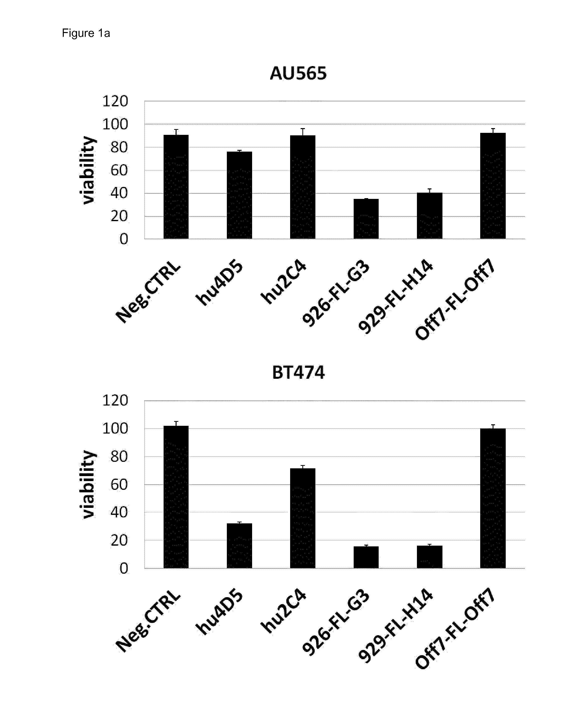 Bispecific her2 ligands for cancer therapy