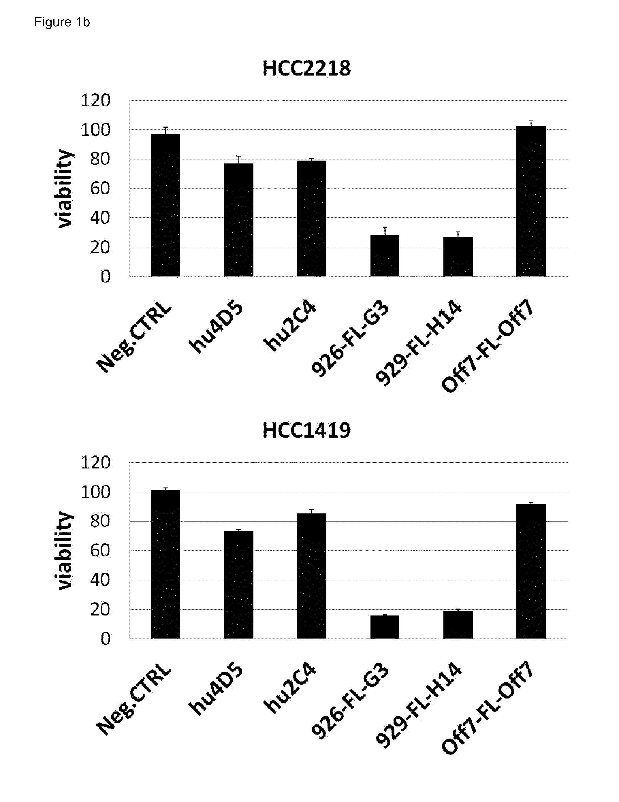 Bispecific her2 ligands for cancer therapy