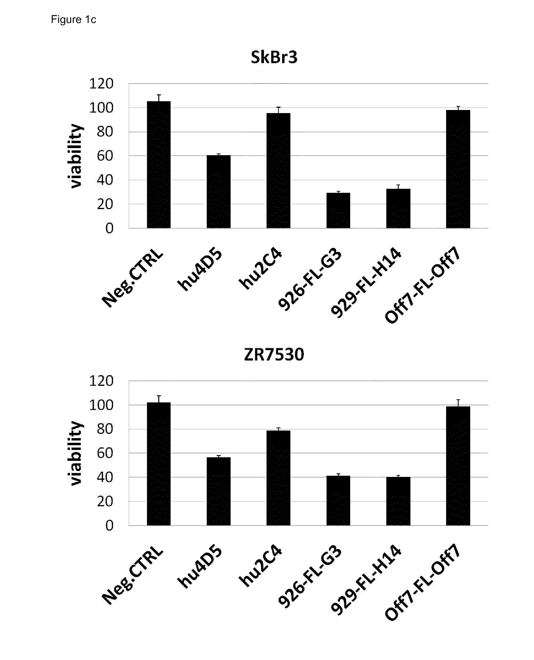 Bispecific her2 ligands for cancer therapy