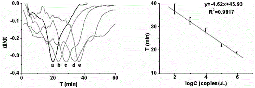 Array type multiple electrochemical constant temperature amplification chip for detecting bacteria and preparation method thereof