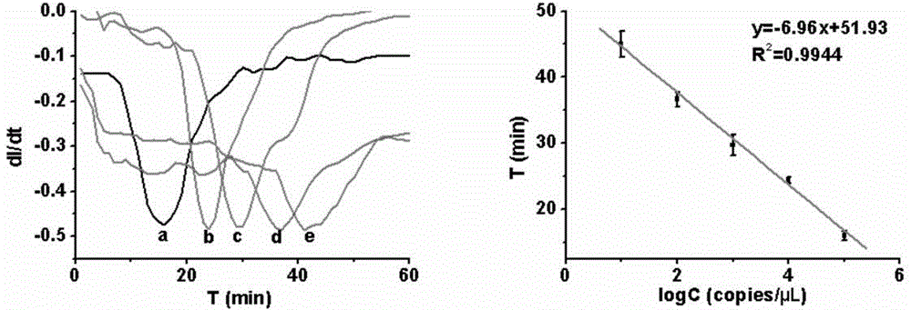 Array type multiple electrochemical constant temperature amplification chip for detecting bacteria and preparation method thereof