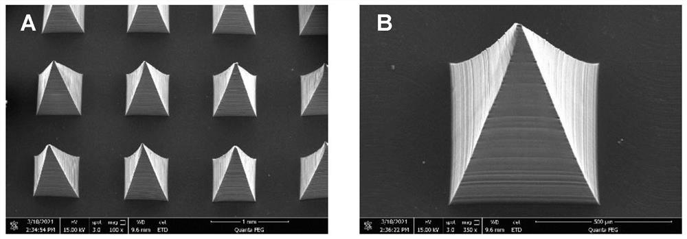Needle and medicine integrated hydrogel microneedle