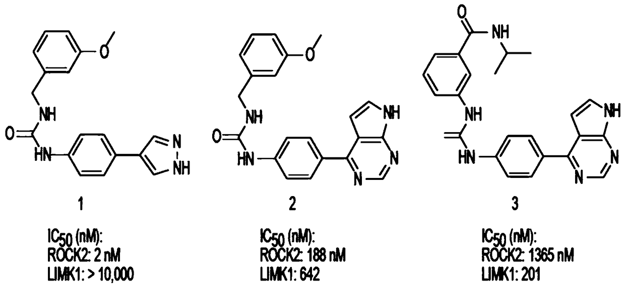 LIM kinase inhibitors