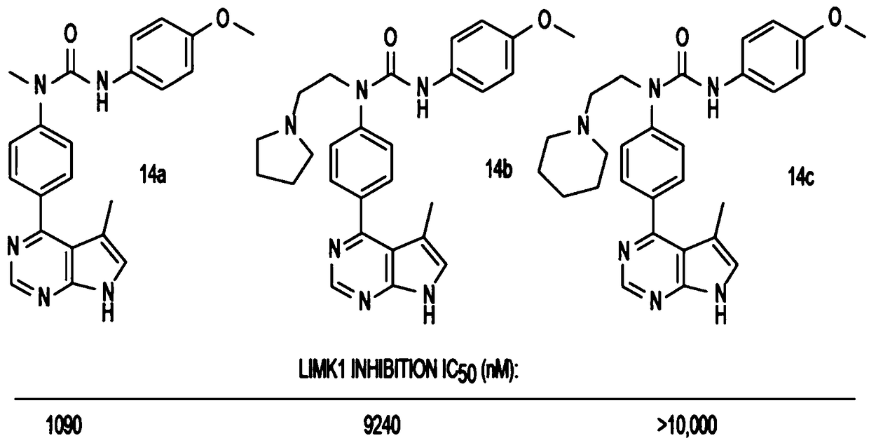 LIM kinase inhibitors