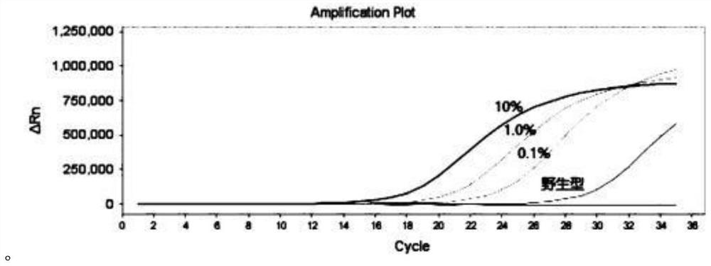 Human tumor specific BRAF mutation detection method