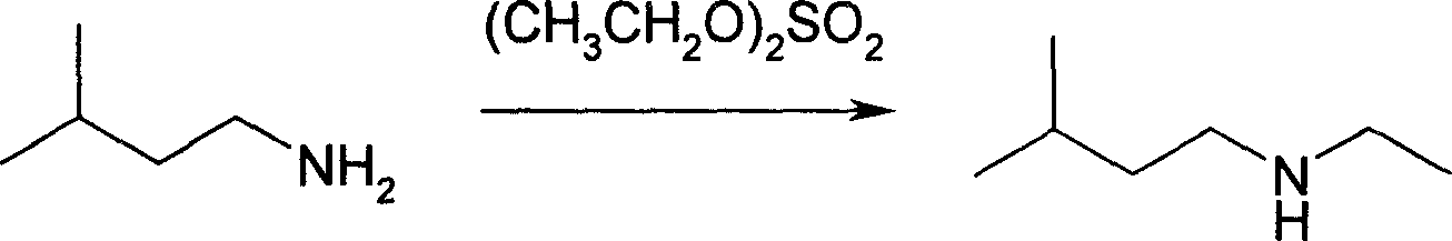Production method of N-ethyl iso penlyl amine and its device