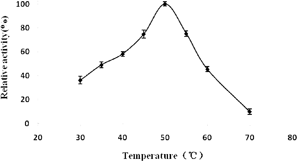 Aspergillus bacterial strain and endo-chitosan enzyme CsnW2 encoding gene, preparation method and application thereof