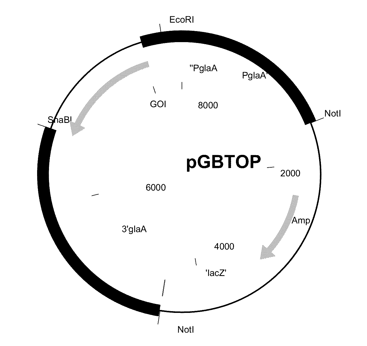 Polypeptide having cellobiohydrolase activity and uses thereof