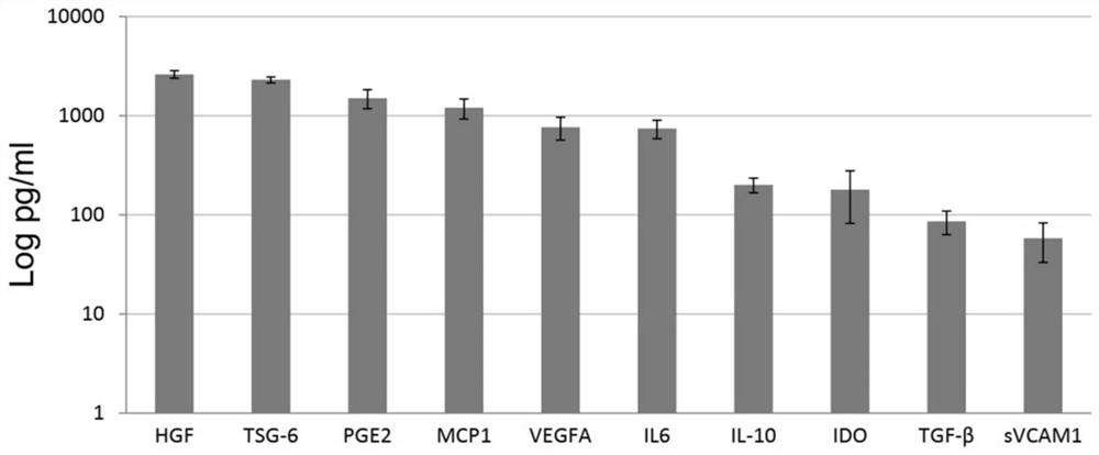 Mesenchymal stem cell drug for immune function regulation and preparation method thereof