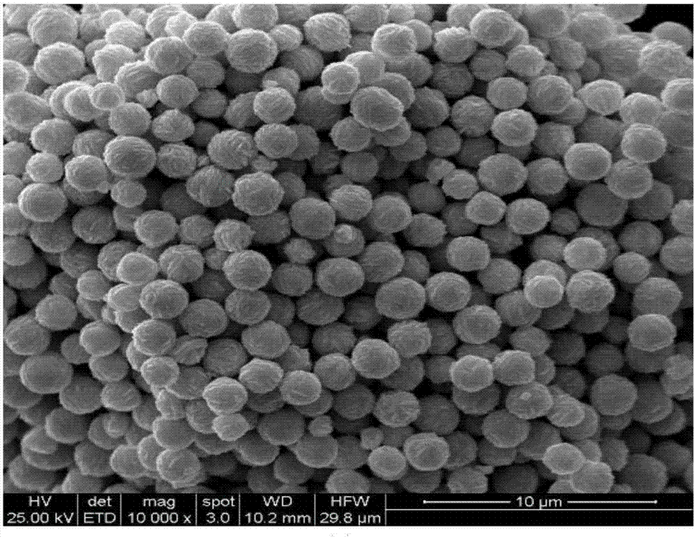 Preparation of graphene-coated silver powder by hydrothermal method and preparation method of graphene-coated silver powder modified lead-free slurry