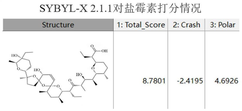 Application of salinomycin in preparation of anti-coronavirus drugs