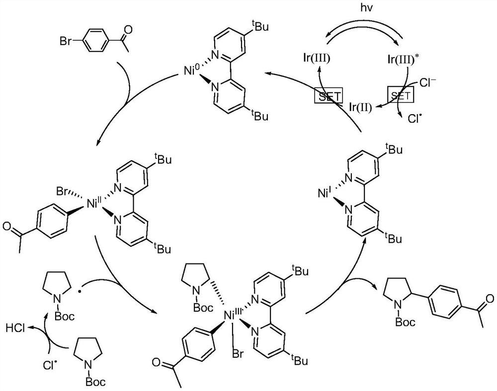 Method for realizing N-alpha site arylation of nitrogen-containing heterocyclic ring by photocatalysis