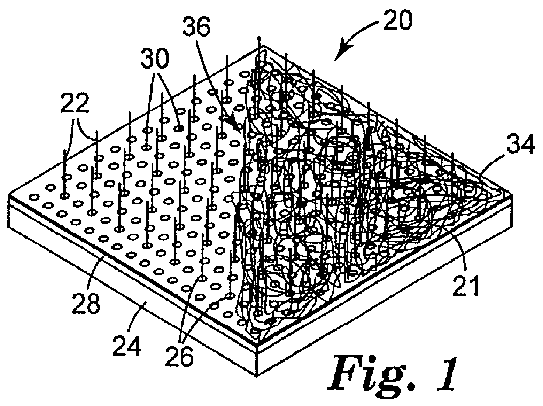 Apparatus for making dimensionally stable nonwoven fibrous webs