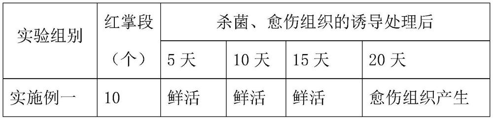 Anthurium andraeanum tissue culture and rapid propagation culture medium and tissue culture and rapid propagation seed production method