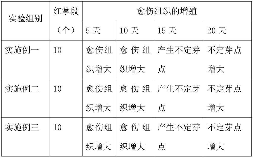 Anthurium andraeanum tissue culture and rapid propagation culture medium and tissue culture and rapid propagation seed production method