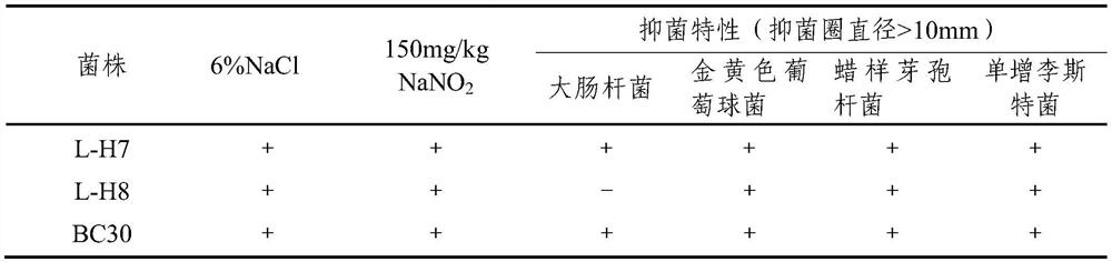 Bacillus coagulans l-h7 and its application