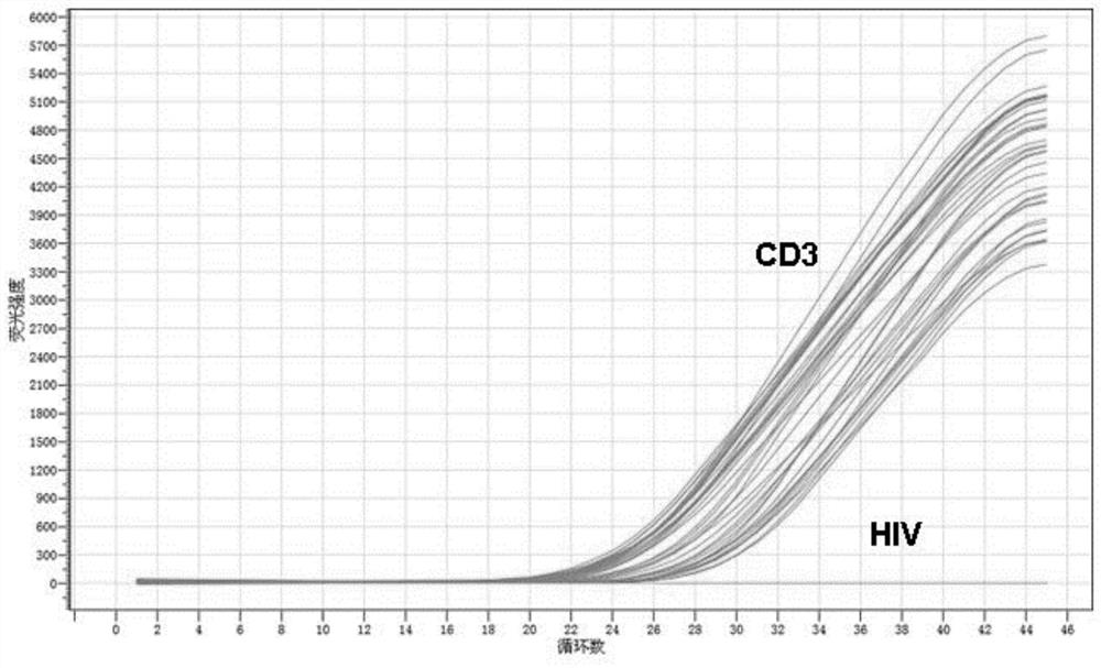 HIV-1 total dna quantitative detection primer pair, probe and detection kit that can cover multiple subtypes