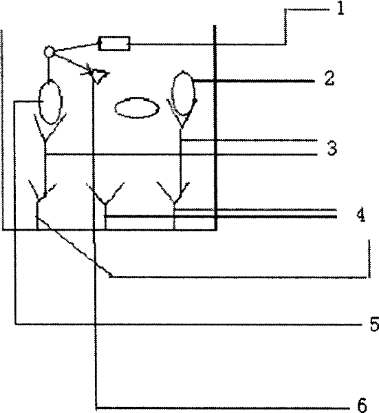 Deoxynivalenol detection method based on single chain antibody, and kit