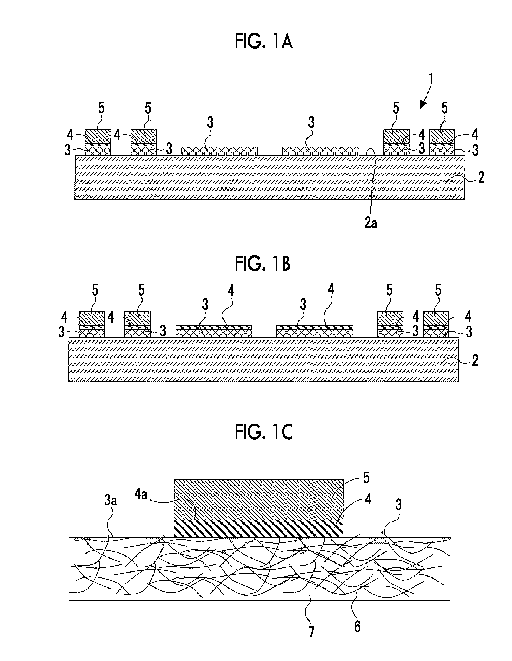 Conductor and method of manufacturing the same