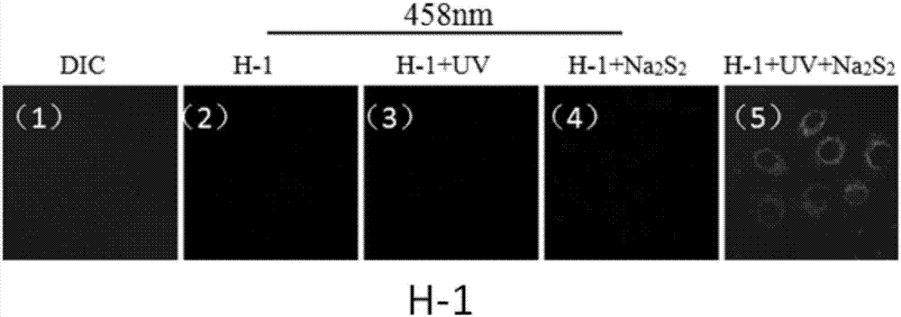 Fluorescent probe of precisely detecting H2S2 in mitochondria by means of light control and preparation method and application thereof