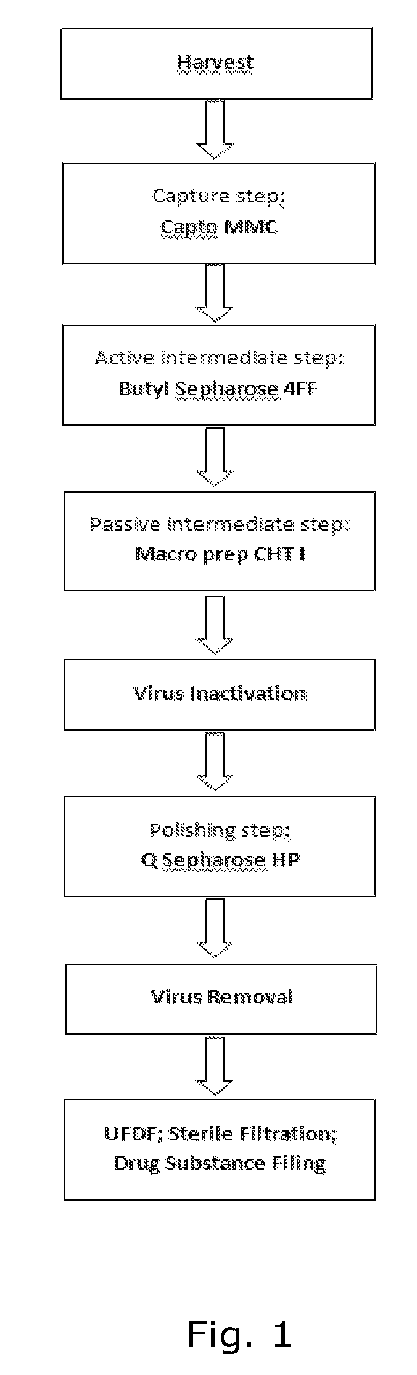 Process for production and purification of recombinant lysosomal alpha-mannosidase
