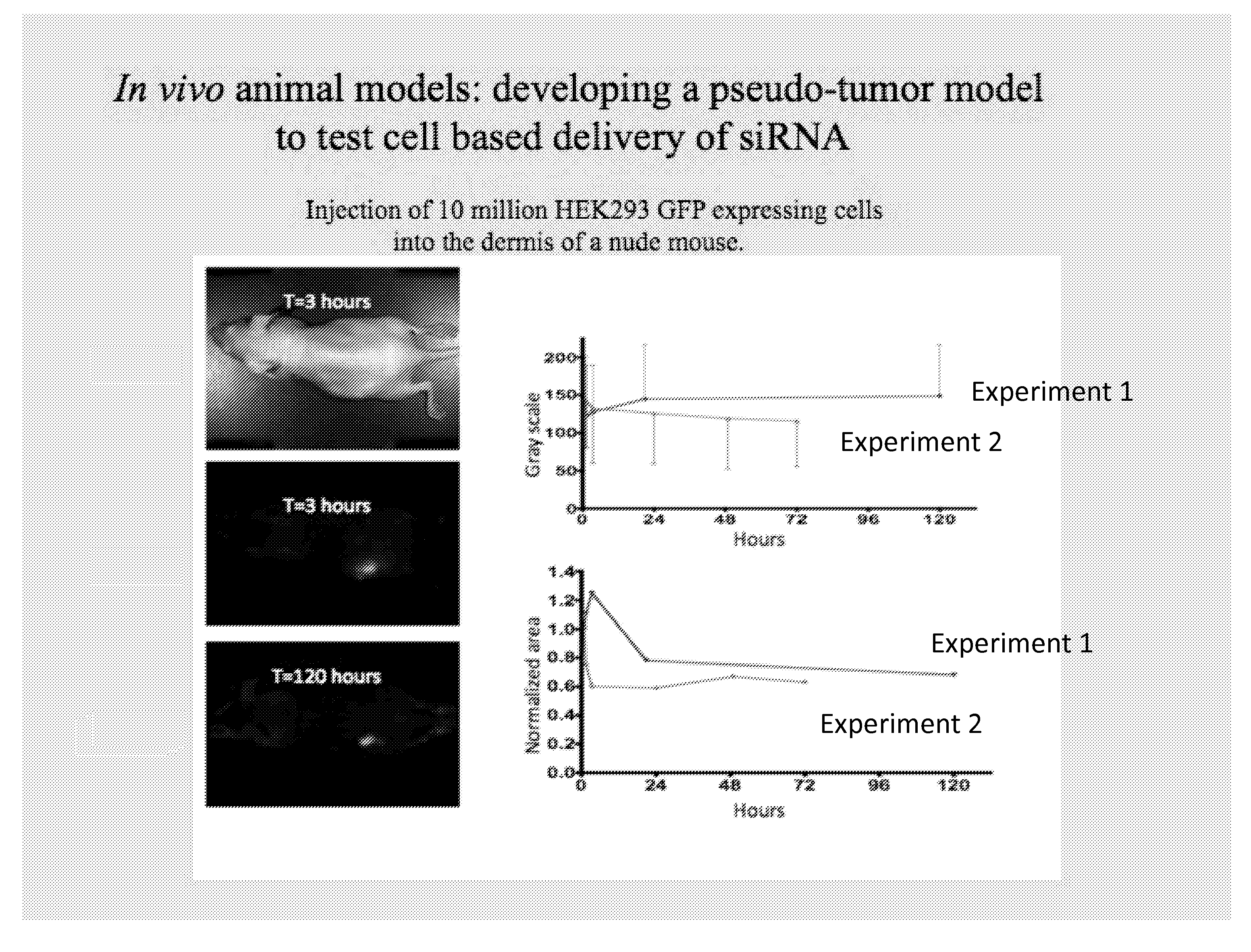 Method for Evaluating Inhibitory Polynucleotide Efficiency and Efficacy