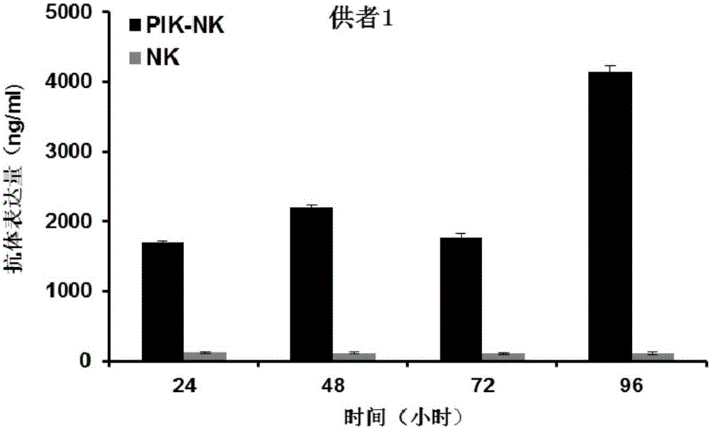 NK cell capable of efficiently and stably expressing antibody and application thereof