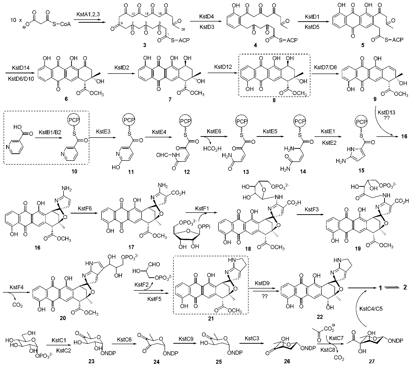 Biosynthesis gene cluster of kosinostatin and application thereof