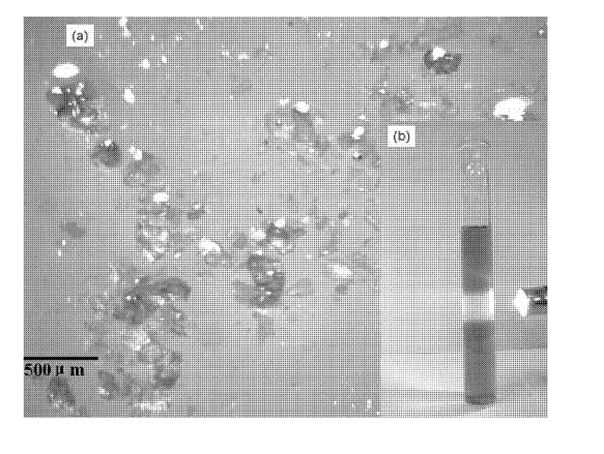 Method for preparing graphene oxide