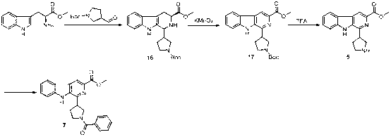 1,3,6,9-substitution beta-carboline compound and preparation method thereof